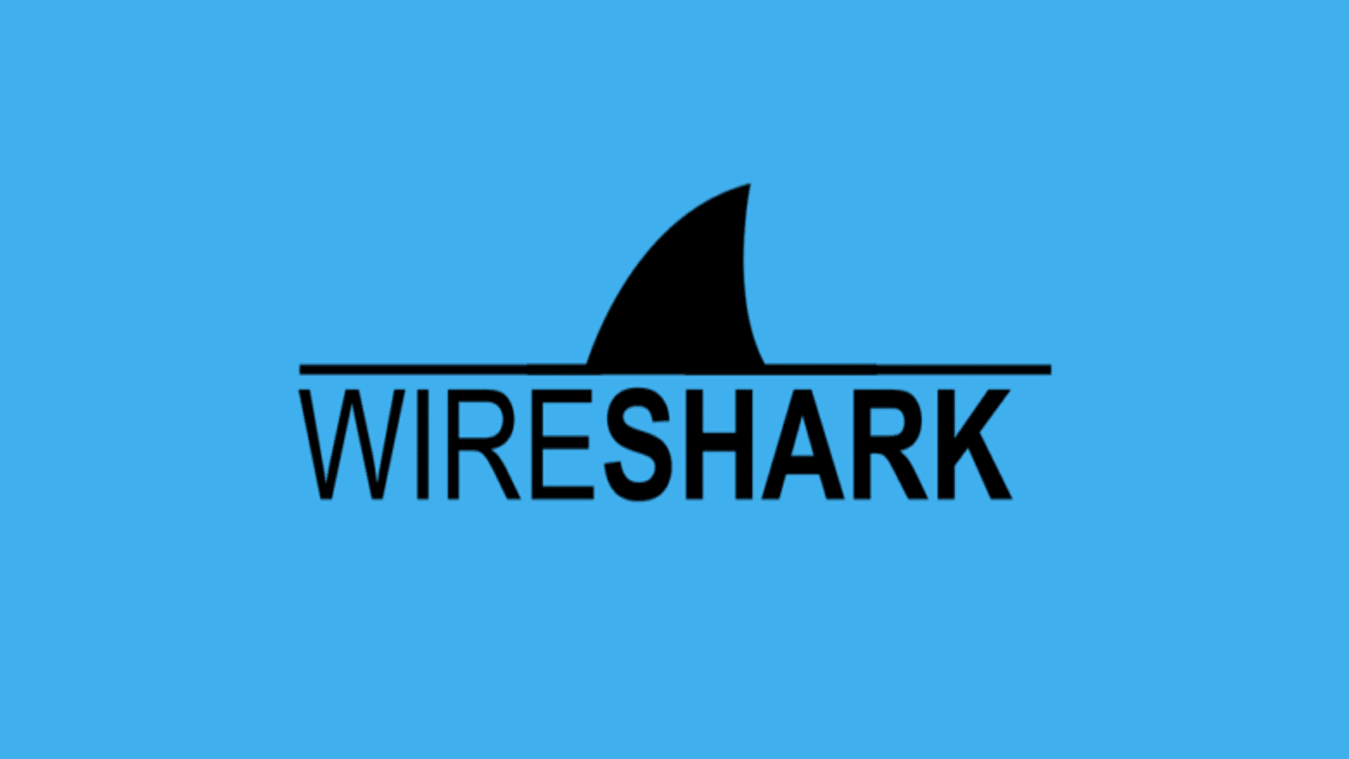 Wireshark No Interfaces Found