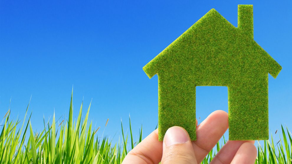 5 Simple Ways to Go Green at Home