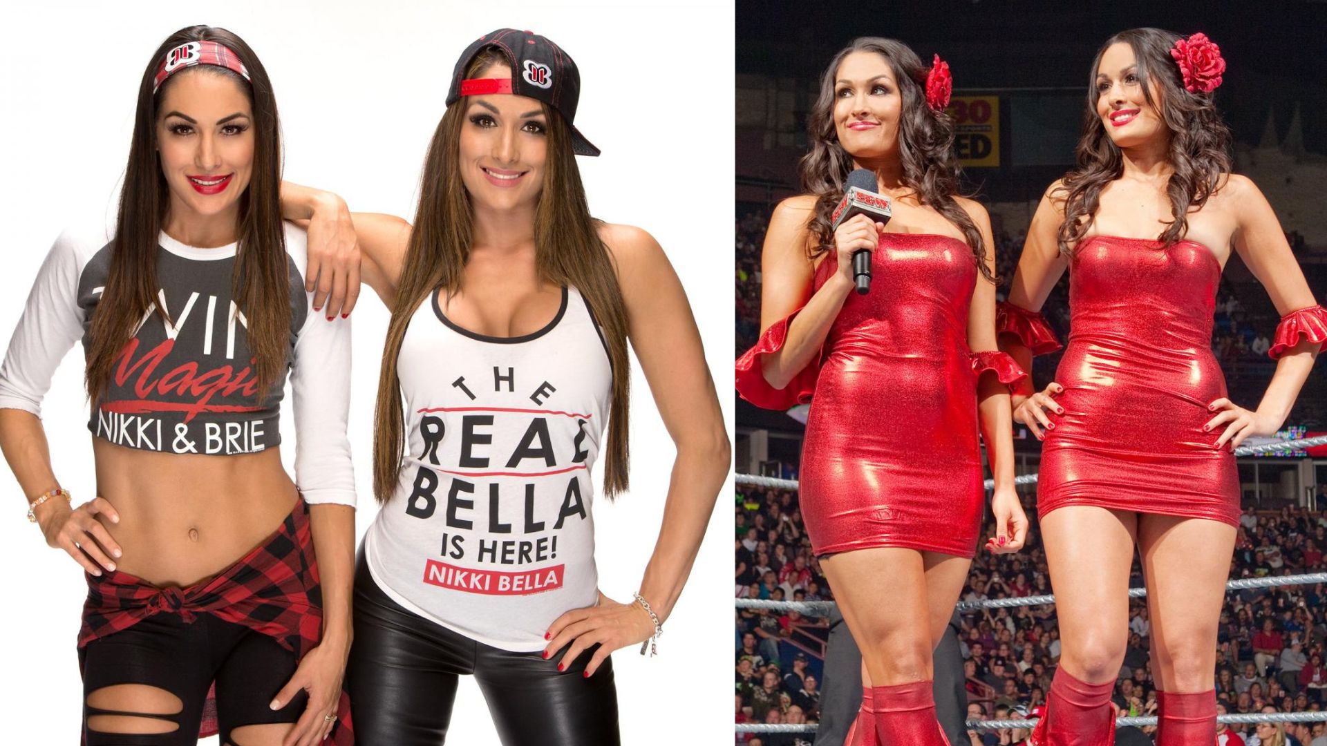 Bella Twins'in en güzel ve En Ateşli WWE divası