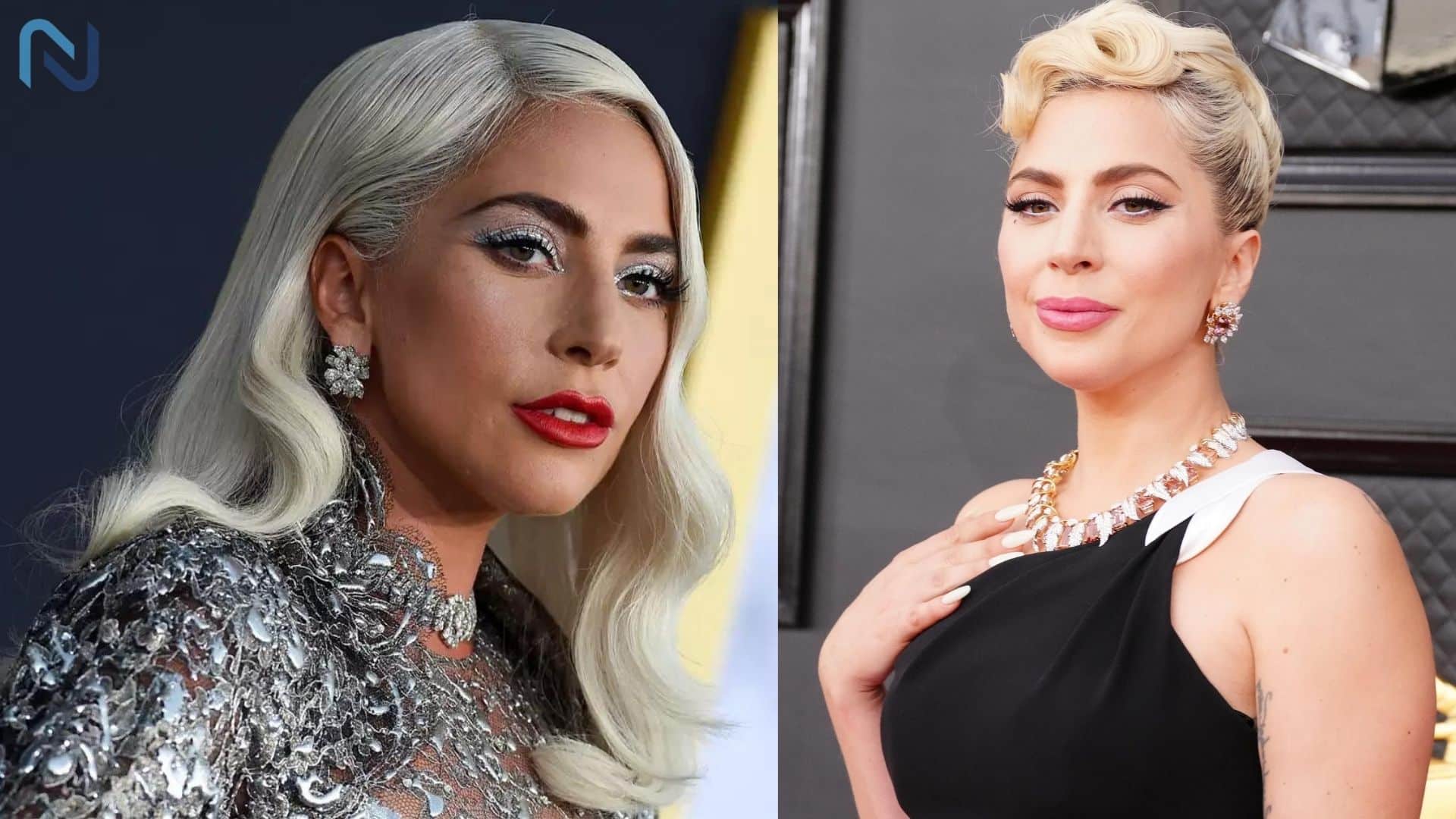 Lady Gaga Cutest and Successful Female Singer
