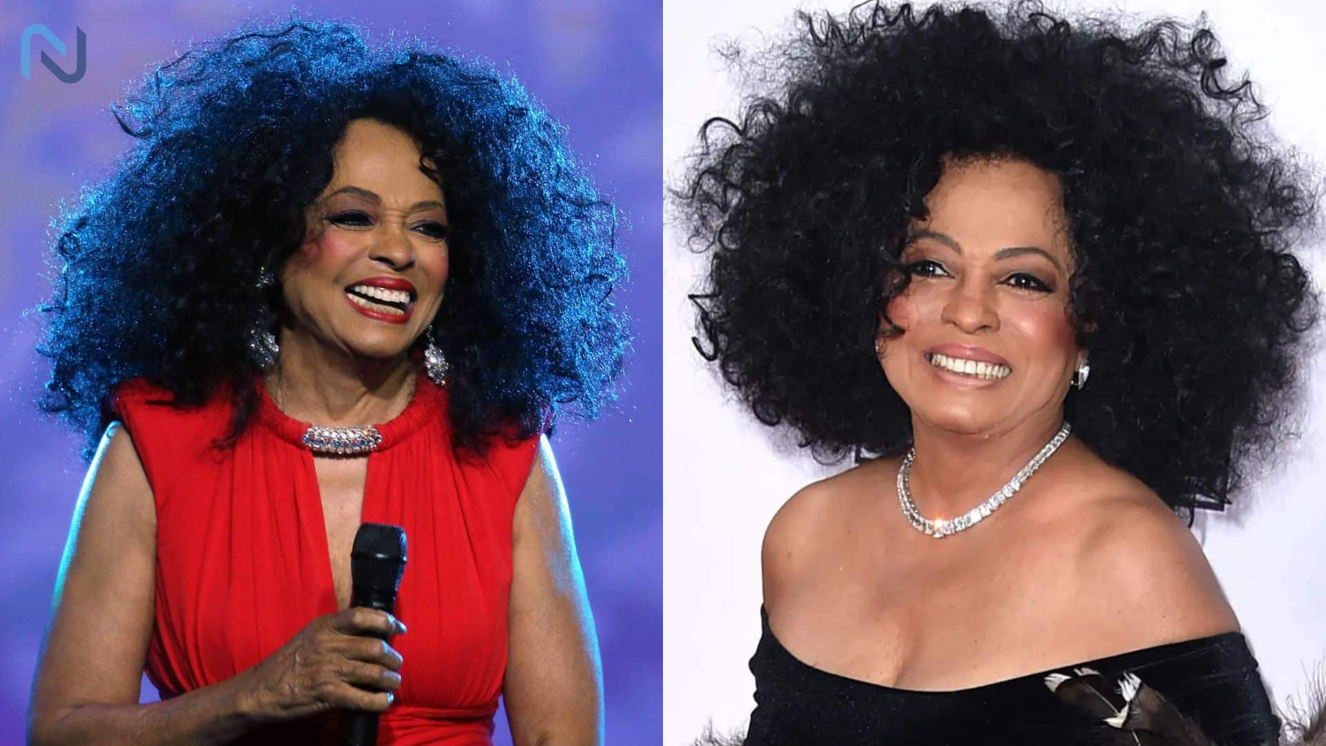 Diana Ross Richest Singer In The World