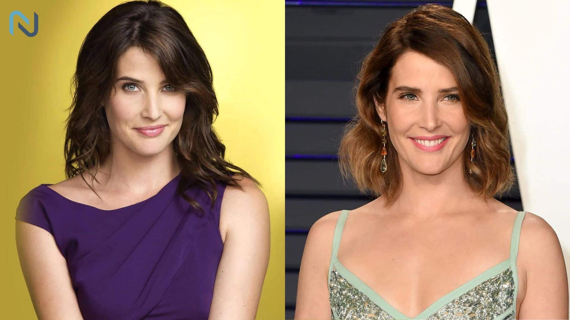 Cobie Smulders Successful and Beautiful Canadian Actress