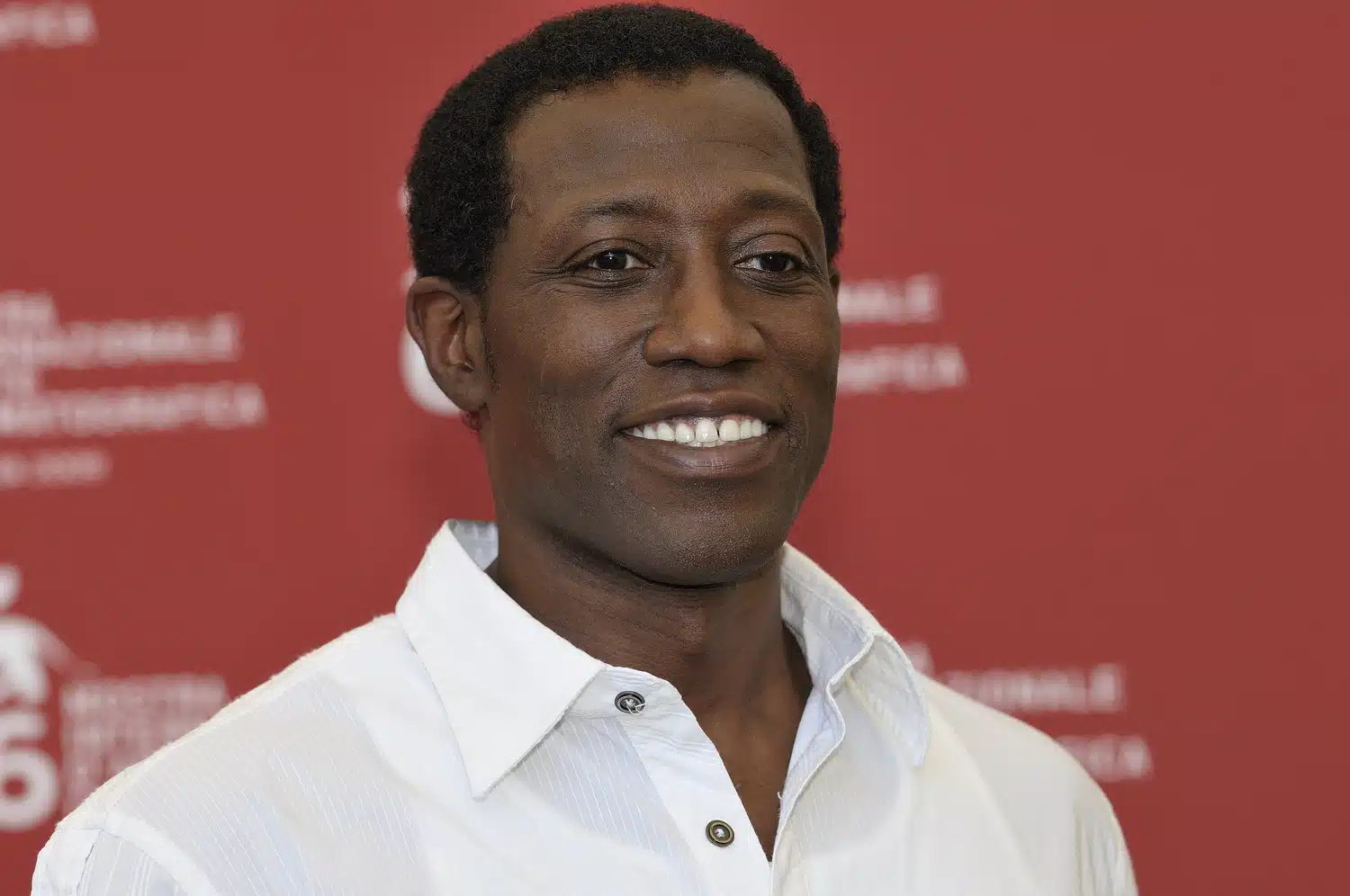 How Much is Wesley Snipes Net Worth? Know Everything 