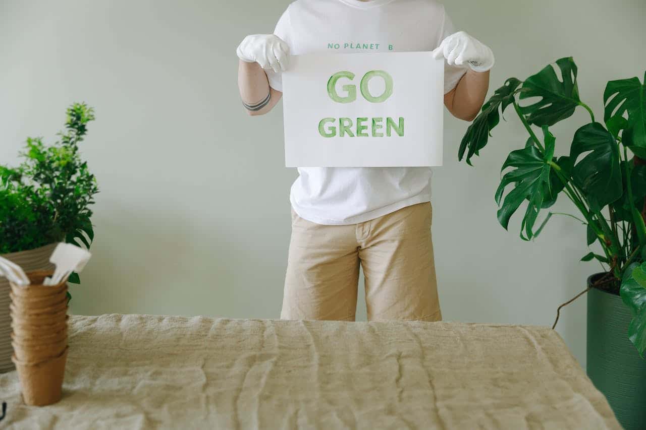 Getting Ready to Go Green in 2024: A Guide for Businesses