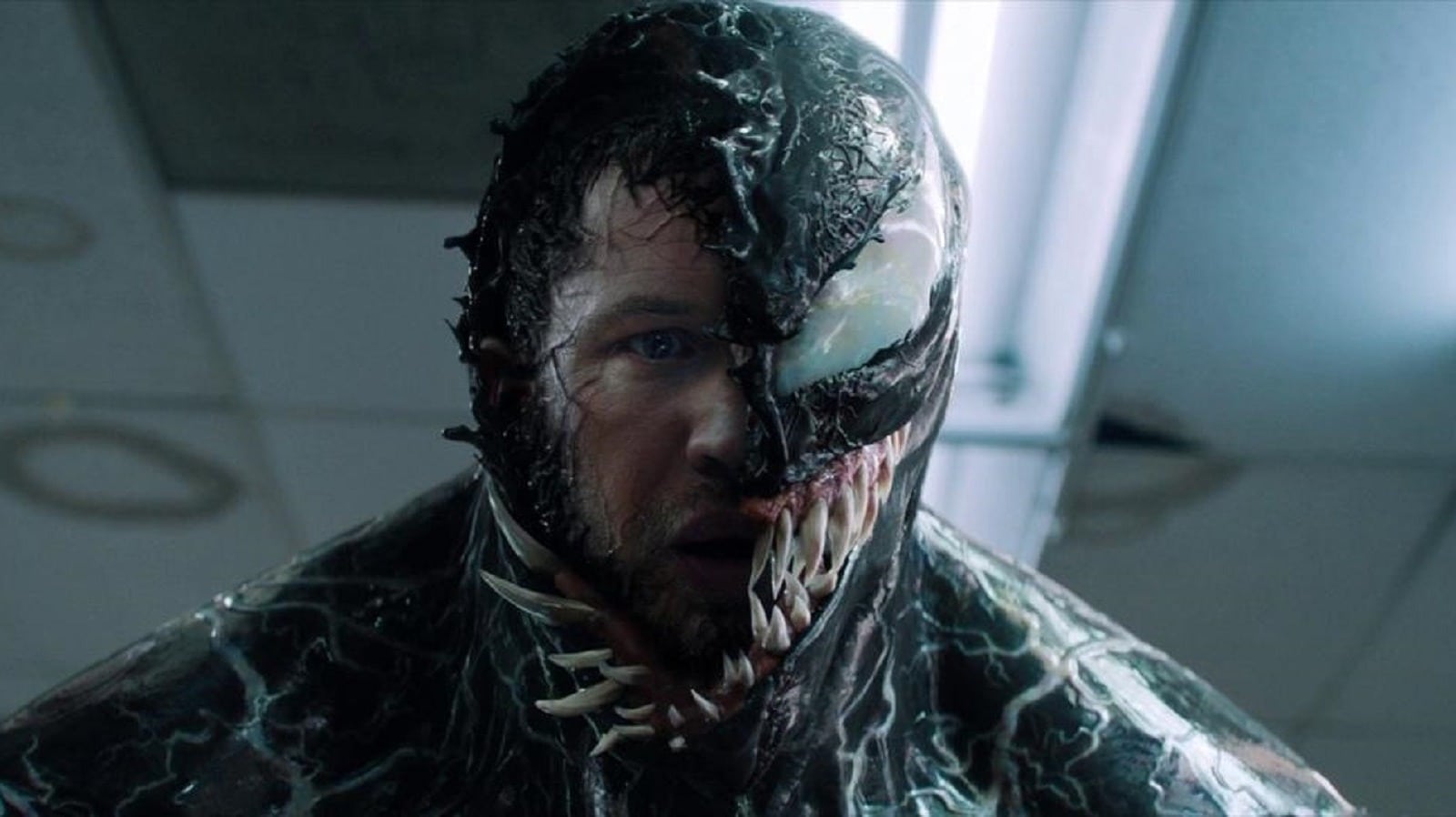 Venom 3: Release Date, Cast, Trailer, Plot, And More