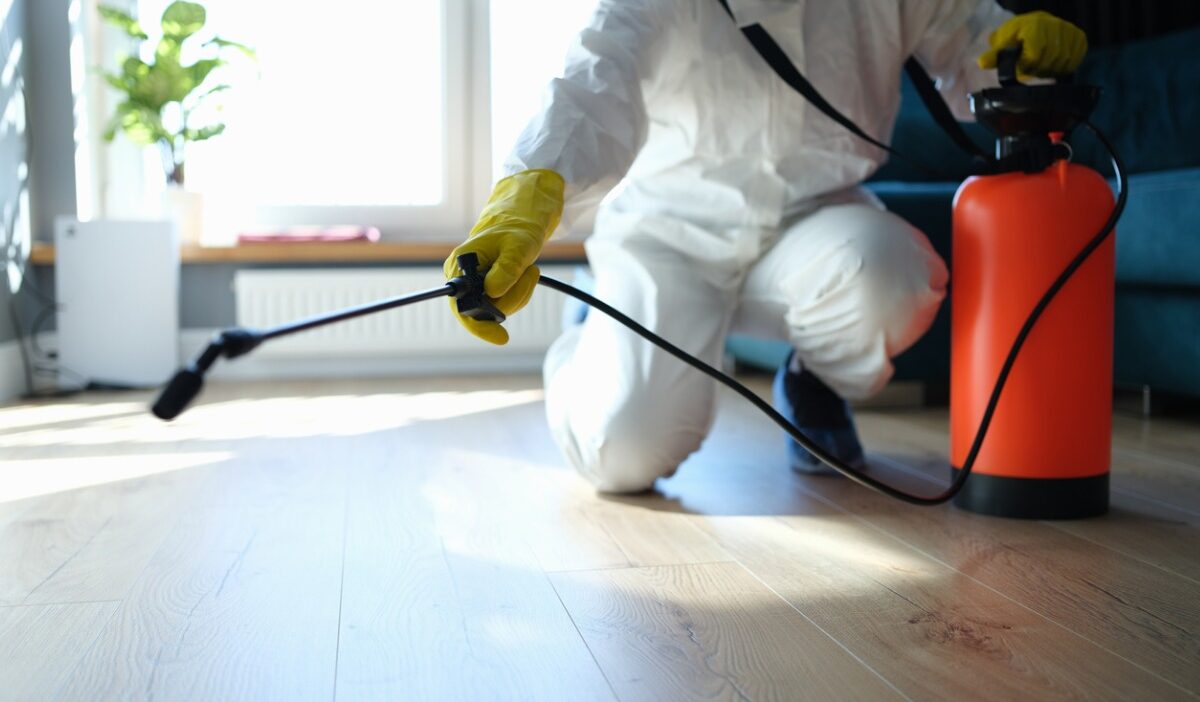 Family-Friendly Pest Prevention Tips for Austin Homes