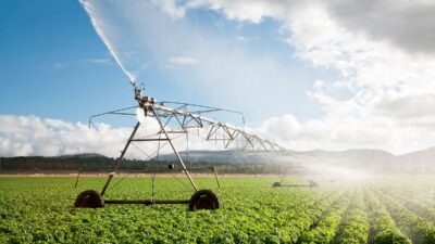 The Silent Cyclone: How Hydrocyclone Filters Revolutionize Solid-Liquid Separation