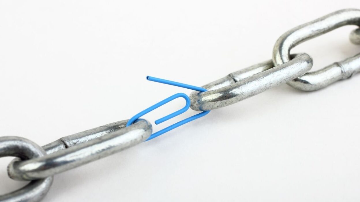 Who Is a Link-Building Specialist - Role, Skills, and Salary